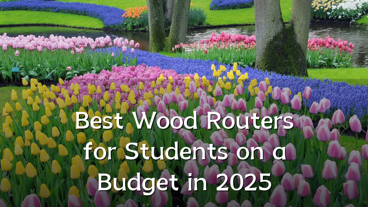 Best Wood Routers for Students on a Budget in 2025