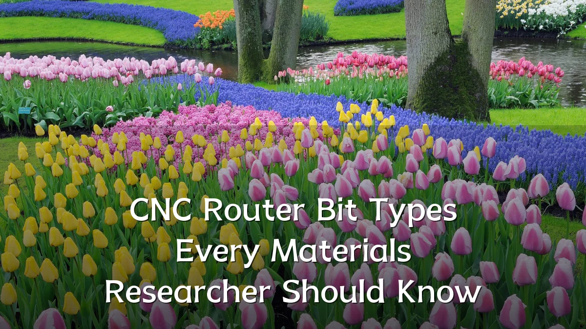 CNC Router Bit Types Every Materials Researcher Should Know