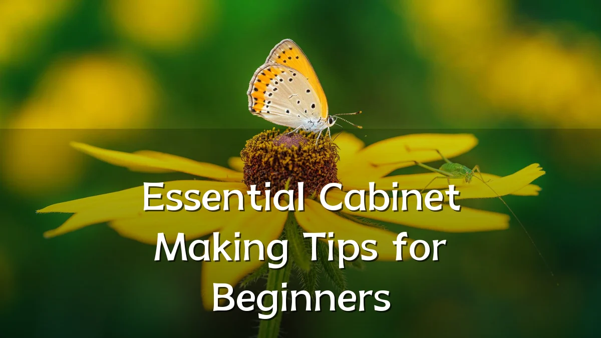 Essential Cabinet Making Tips for Beginners