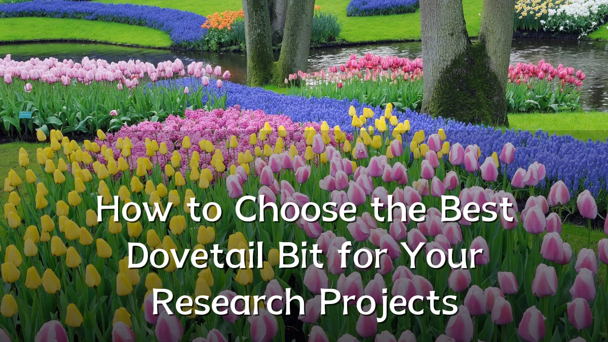 How to Choose the Best Dovetail Bit for Your Research Projects
