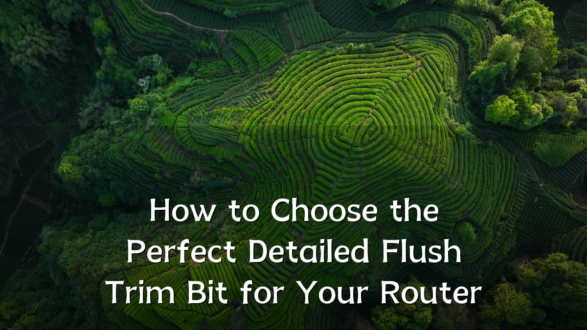 How to Choose the Perfect Detailed Flush Trim Bit for Your Router