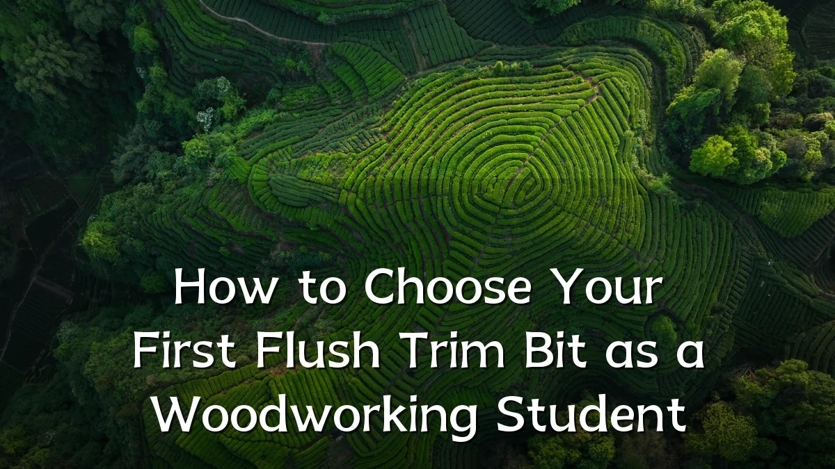 How to Choose Your First Flush Trim Bit as a Woodworking Student
