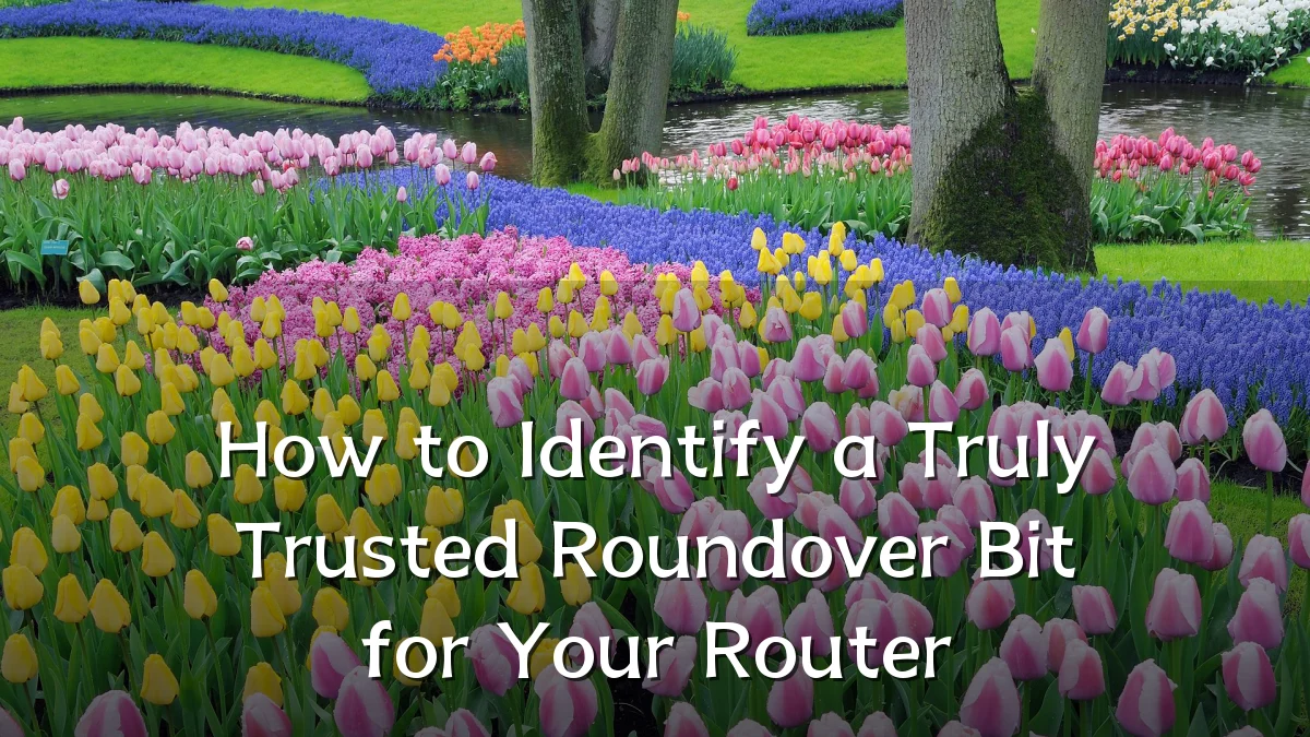 How to Identify a Truly Trusted Roundover Bit for Your Router