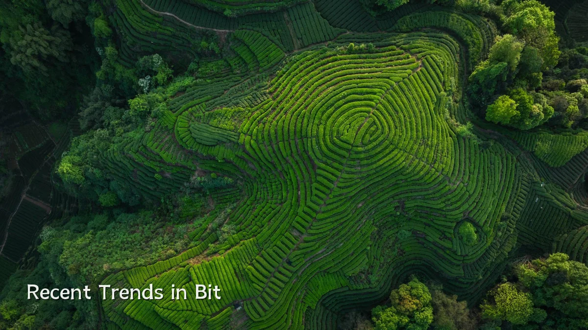 Recent Trends in Bit