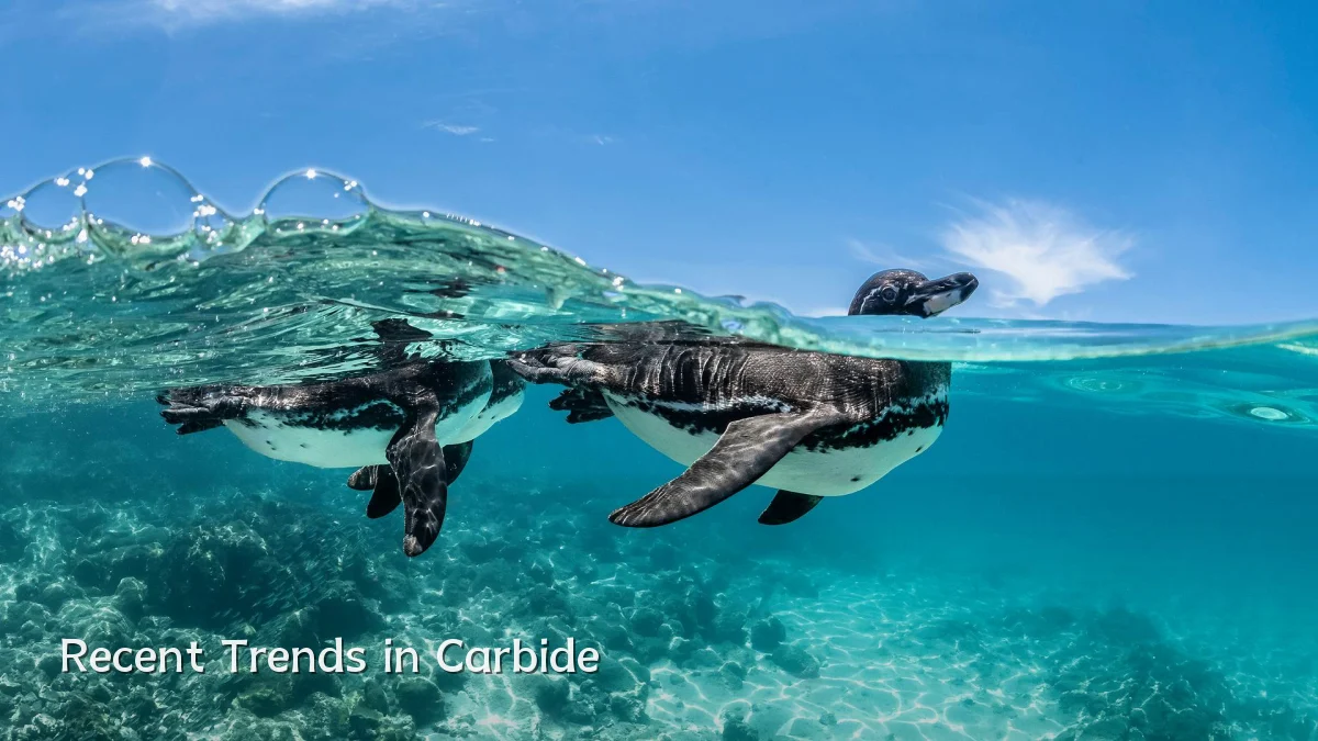 Recent Trends in Carbide
