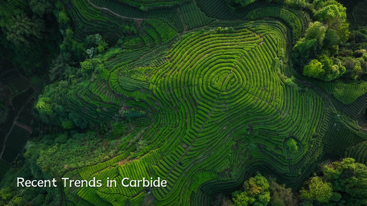 Recent Trends in Carbide