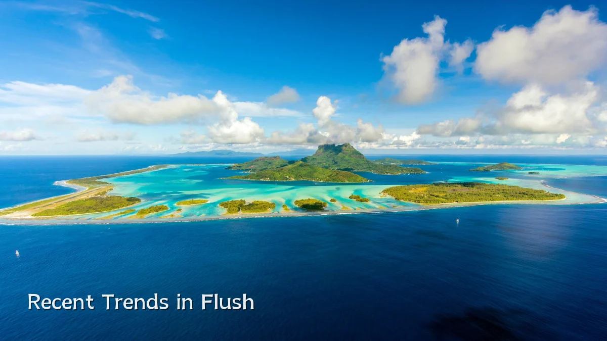 Recent Trends in Flush