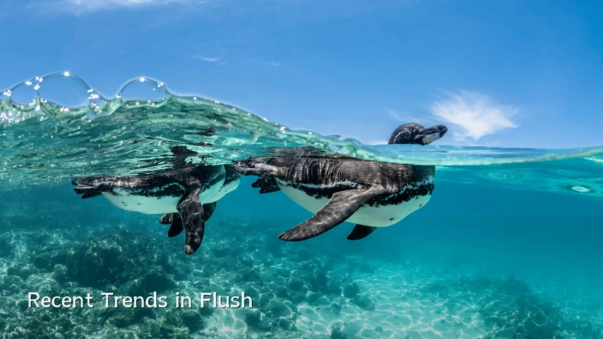 Recent Trends in Flush
