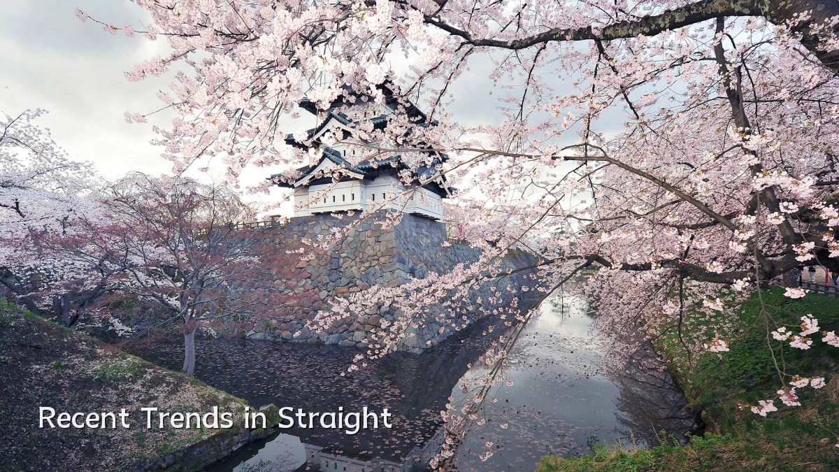 Recent Trends in Straight