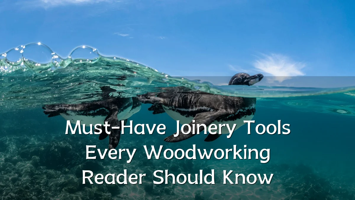 Must-Have Joinery Tools Every Woodworking Reader Should Know