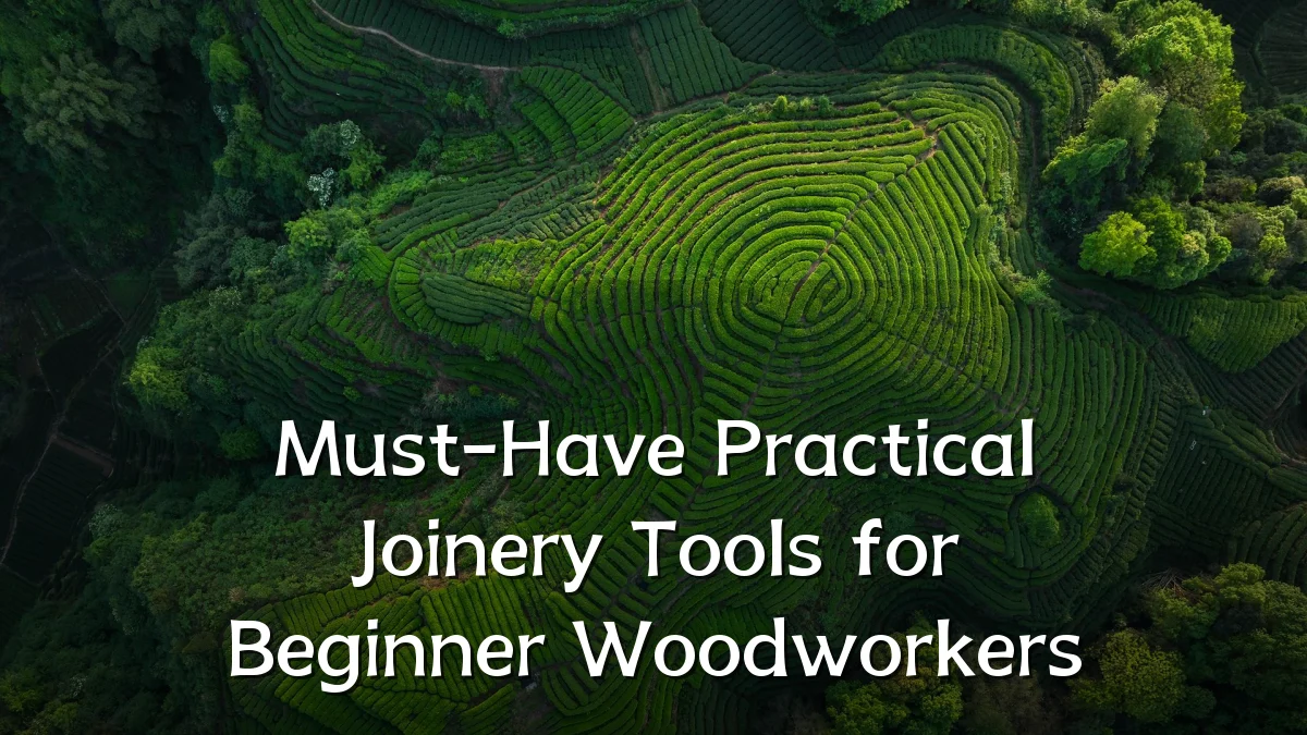 Must-Have Practical Joinery Tools for Beginner Woodworkers