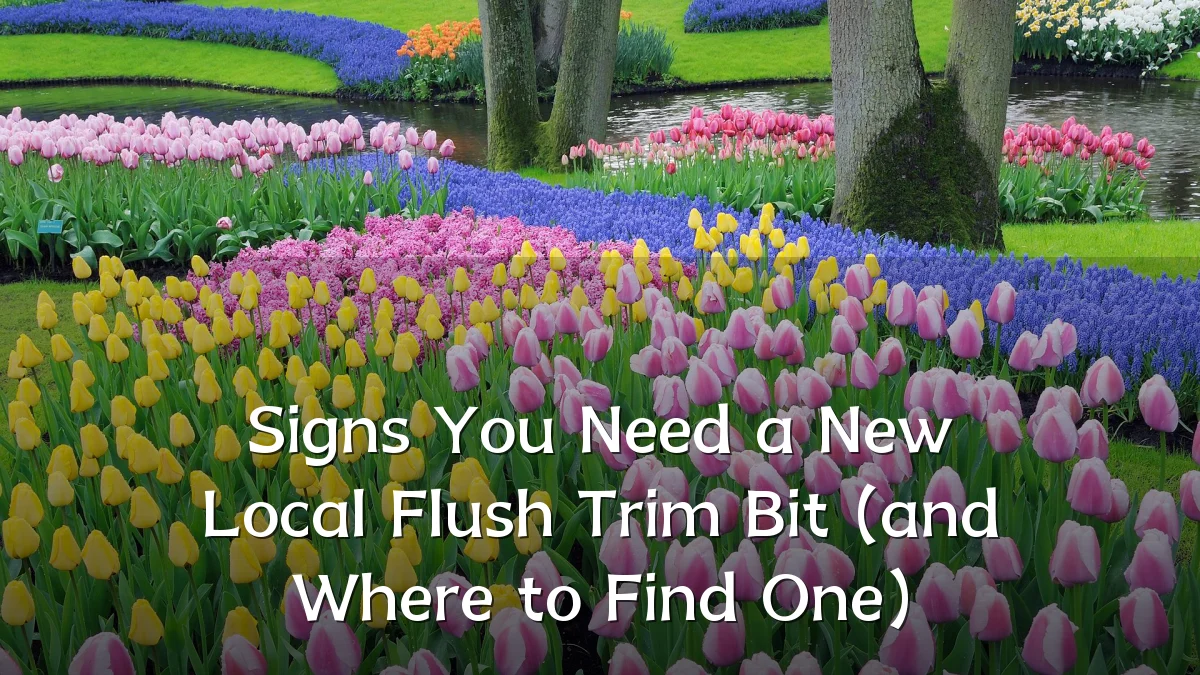 Signs You Need a New Local Flush Trim Bit (and Where to Find One)