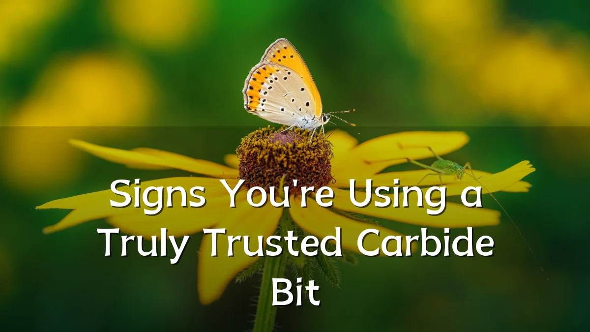 Signs You're Using a Truly Trusted Carbide Bit