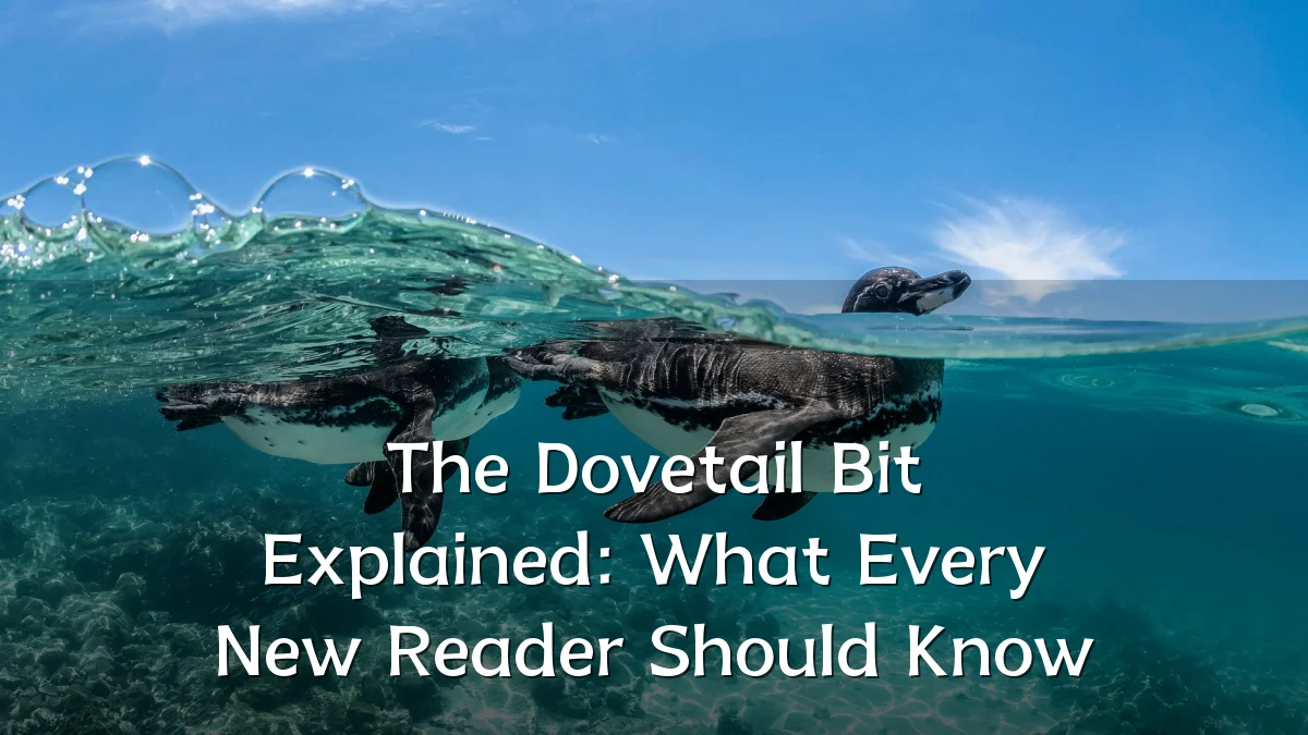 The Dovetail Bit Explained: What Every New Reader Should Know
