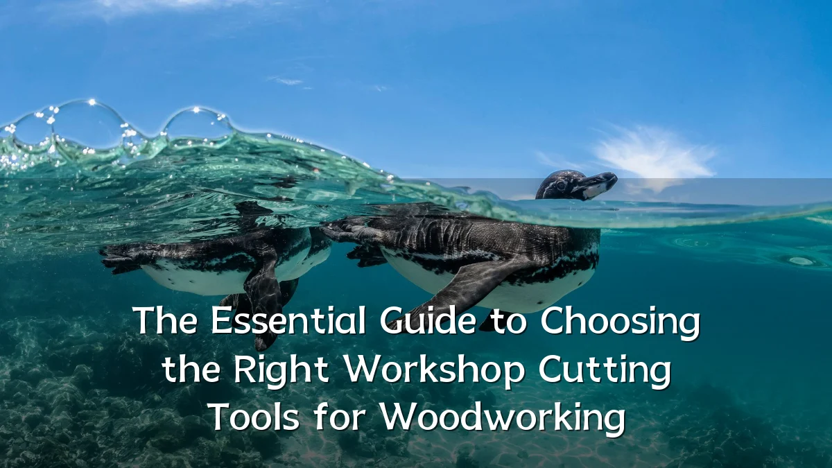 The Essential Guide to Choosing the Right Workshop Cutting Tools for Woodworking