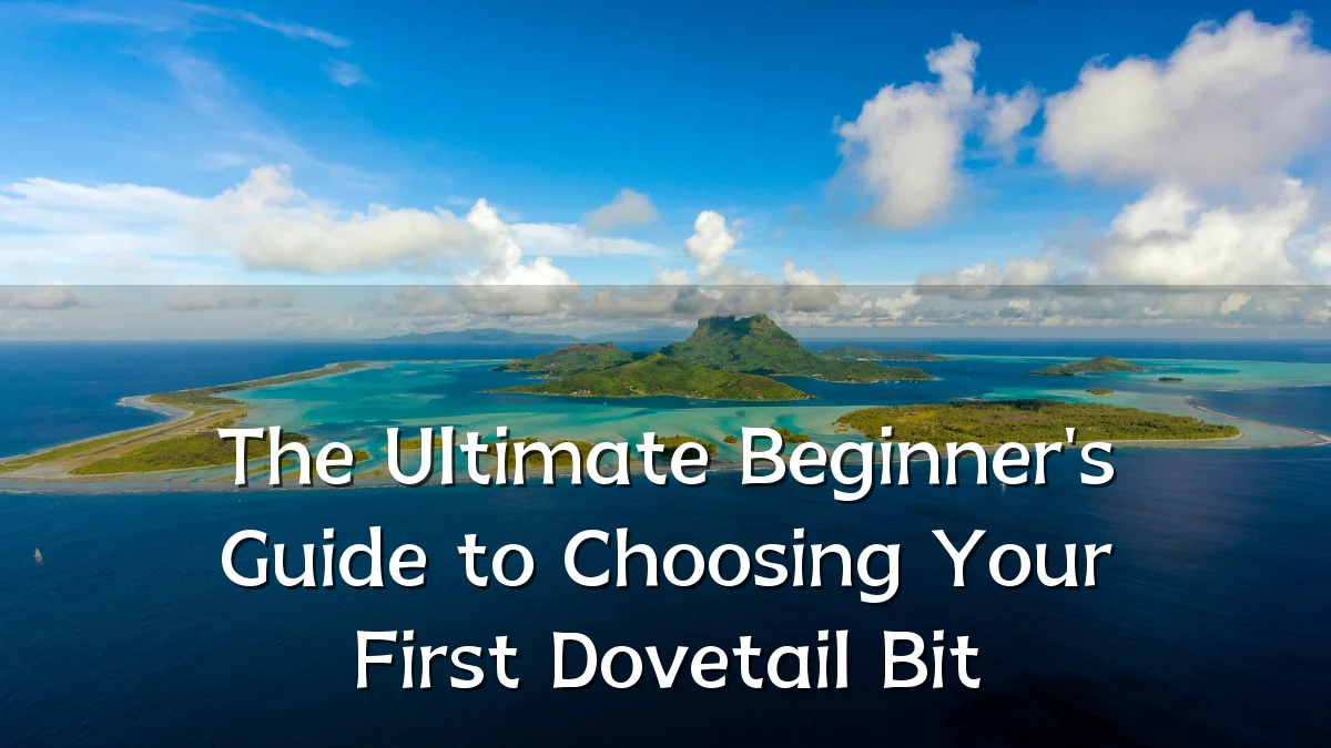The Ultimate Beginner's Guide to Choosing Your First Dovetail Bit
