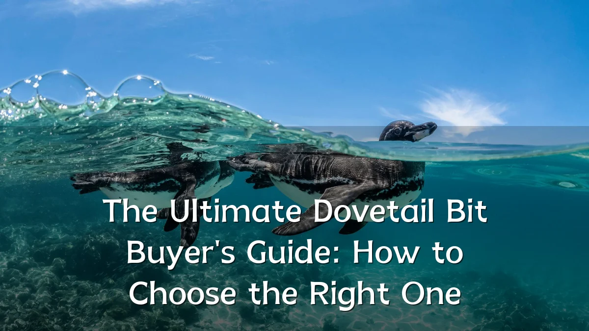 The Ultimate Dovetail Bit Buyer's Guide: How to Choose the Right One