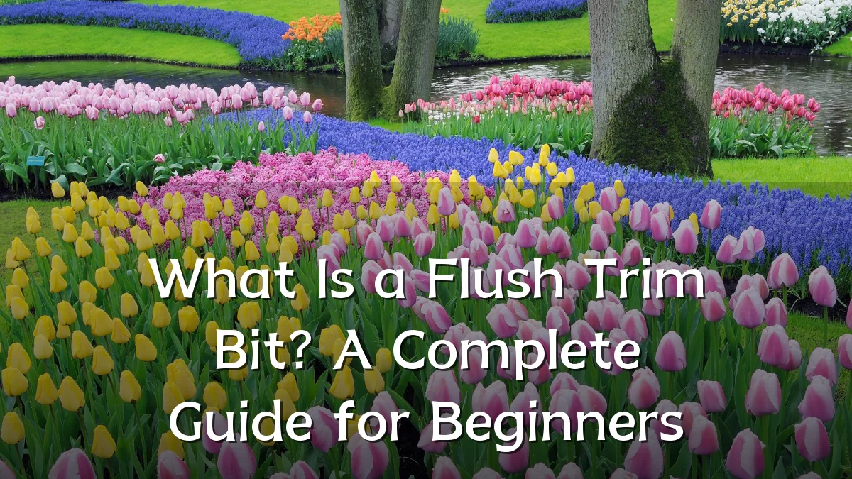 What Is a Flush Trim Bit? A Complete Guide for Beginners