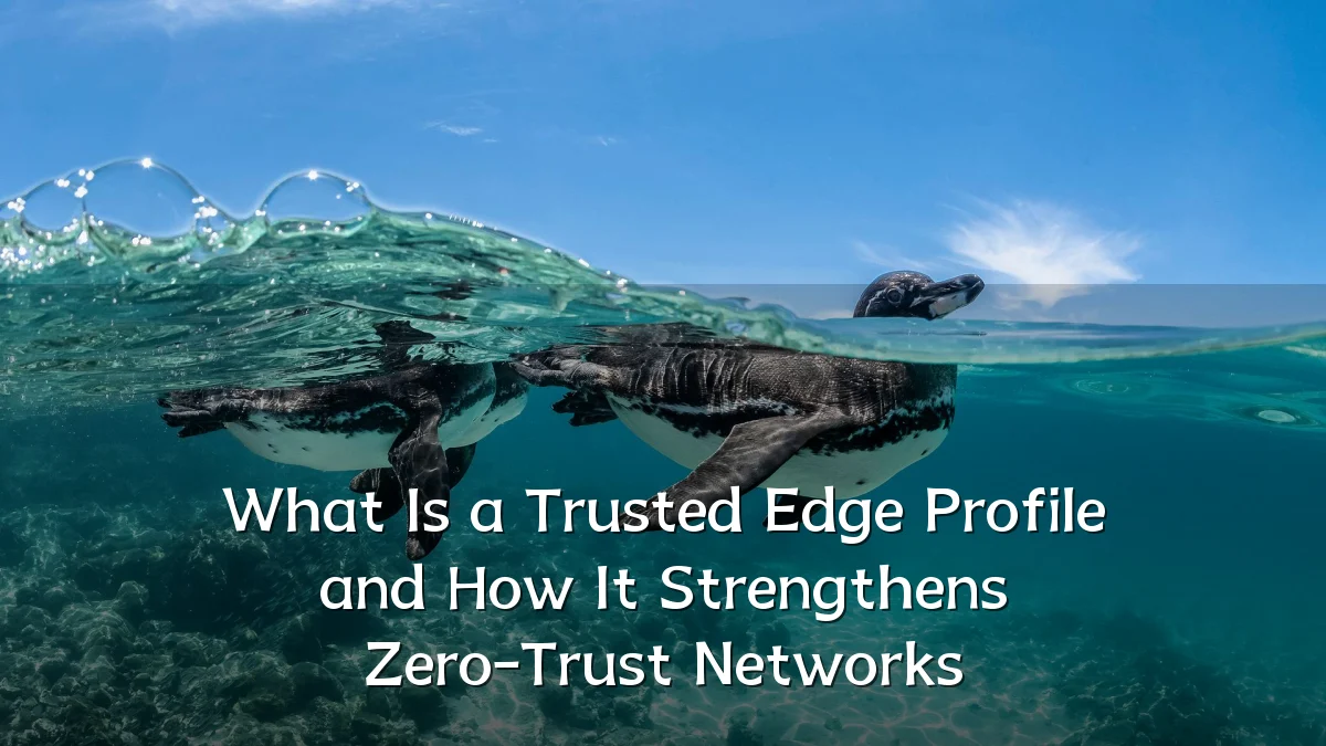 What Is a Trusted Edge Profile and How It Strengthens Zero-Trust Networks