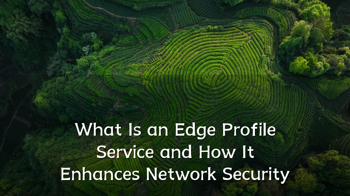 What Is an Edge Profile Service and How It Enhances Network Security