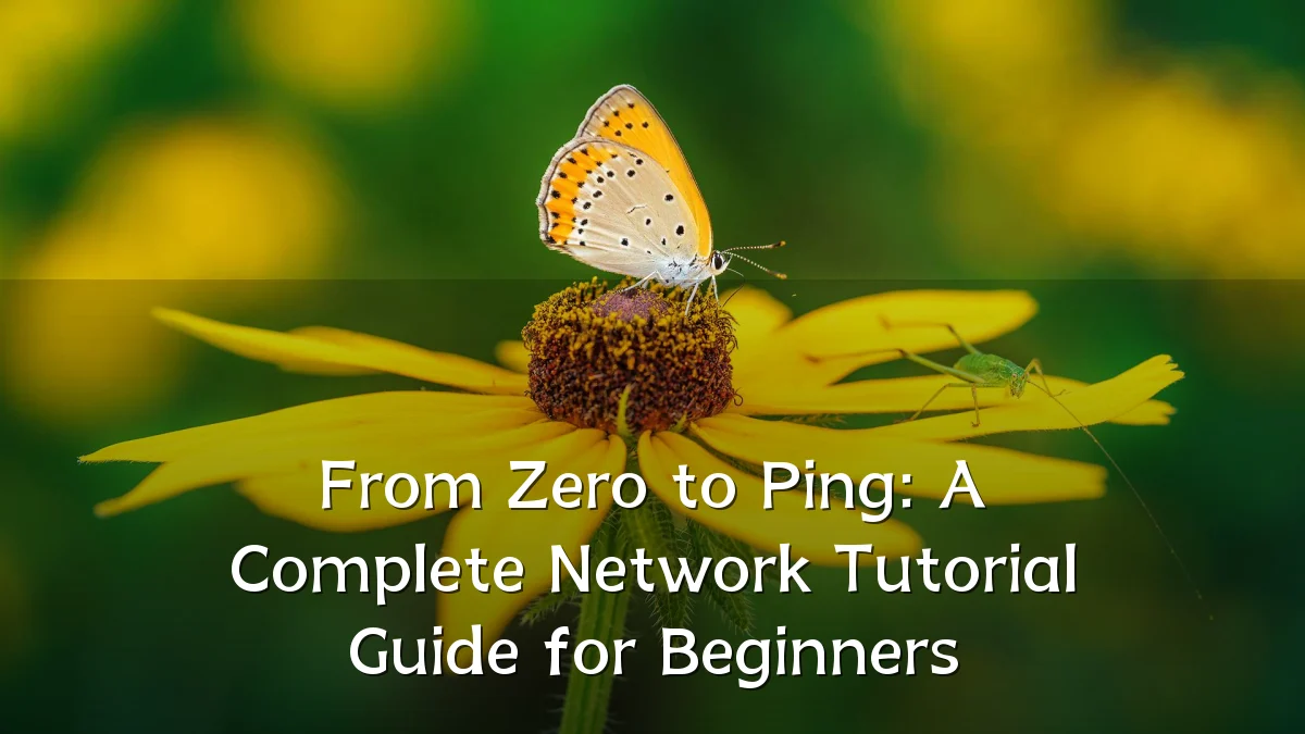 From Zero to Ping: A Complete Network Tutorial Guide for Beginners